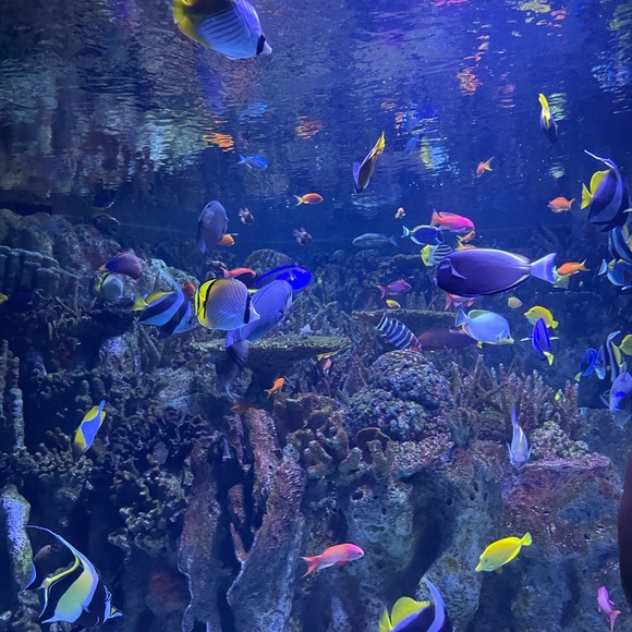 Meet your Posher, Erin - Picture 1 of 1